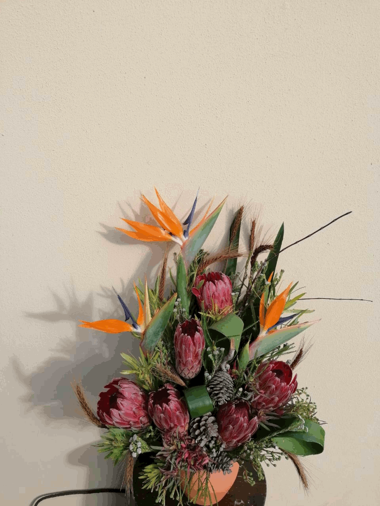 Protea and Strelitzia from R700 Protea and Strelitzia from R700